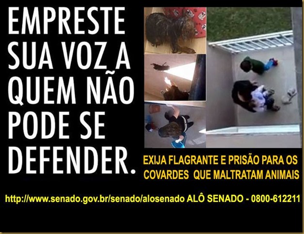 alo-senado alo-senado