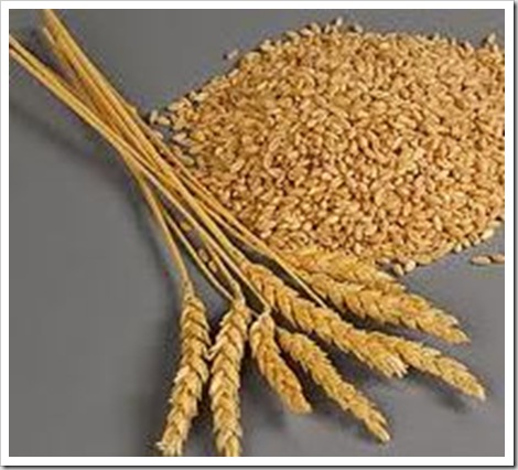 wheat 4 wheat 4