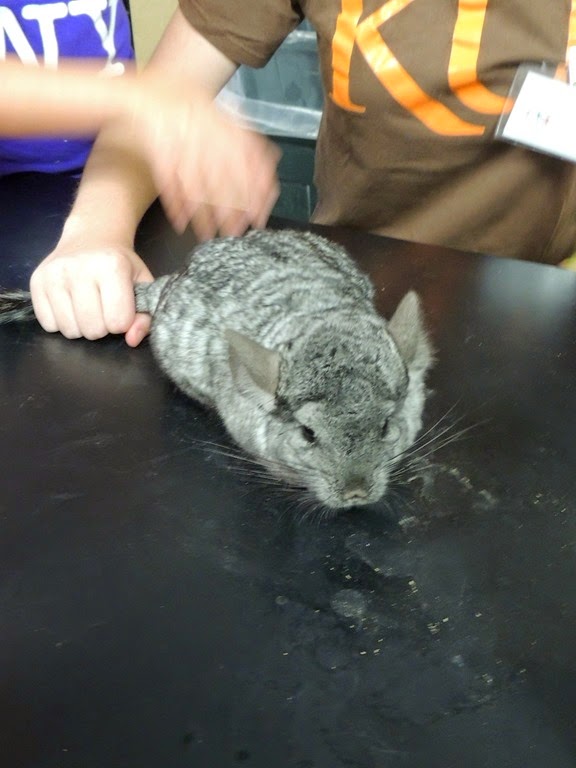 [DSCN9373%255B3%255D.jpg]