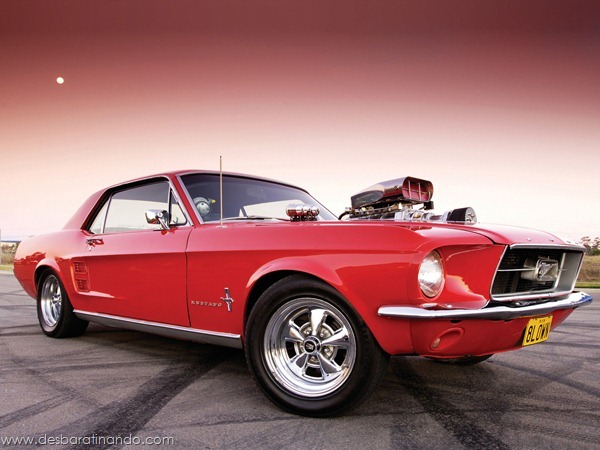 muscle-cars-classics-wallpapers-papeis-de-parede-desbaratinando-(123) muscle-cars-classics-wallpapers-papeis-de-parede-desbaratinando-(123)