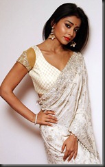 shriya_saran_in_saree_beautiful_photo