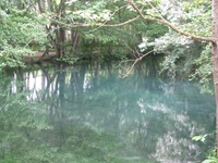 IMG_4297 IMG_4297