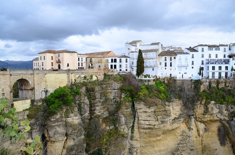 Ronda31