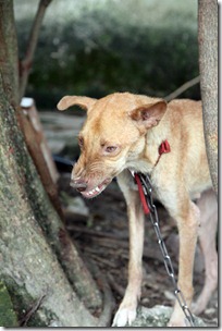 IMG_0459 IMG_0459