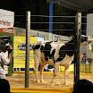superleite2011_dia1507_215.JPG