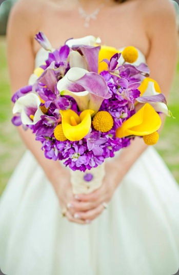 430723_10151288296515037_529395036_22968162_1125234953_n michelle b. photographie at longoria wedding 430723_10151288296515037_529395036_22968162_1125234953_n michelle b. photographie at longoria wedding
