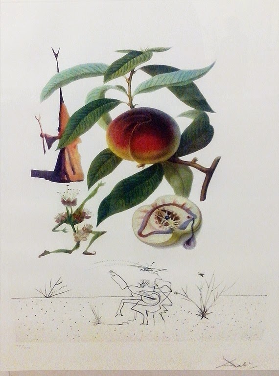 [Salvador-Dali-expo-CCBB--1849.jpg]