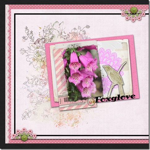 foxglove