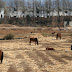 Village de Shuhe