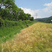 IMG_0608.JPG