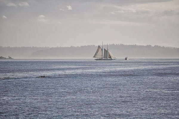 DSC_3415.JPG DSC_3415.JPG