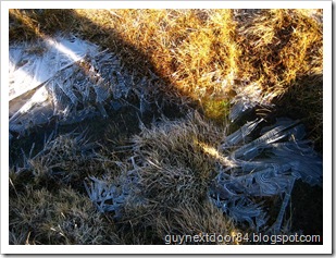 IMG_9303 IMG_9303
