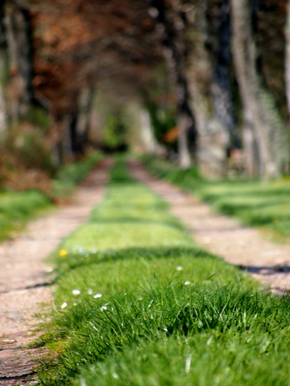 [7%2520May%25206%252007-05-2013%252009-46-14%25203024x4032%255B3%255D.jpg]