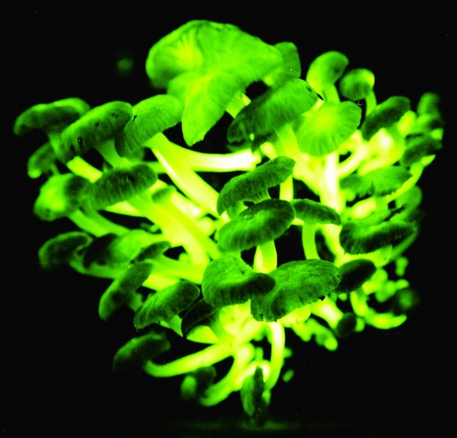 img-ciencia 7 img-ciencia 7