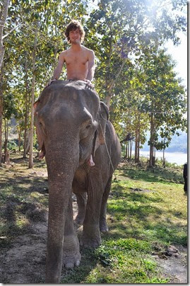 Laos Luang Prabang Elephant mahout course 140202_0133