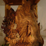 1563-3.jpg 1563-3.jpg