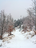 VolovskeVrchy-Skalisko-03.jpg Photo VolovskeVrchy-Skalisko-03.jpg Photo