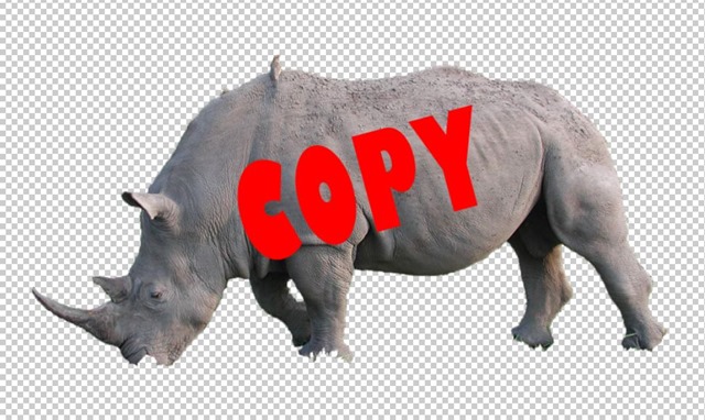 [Rhino-cut%255B5%255D.jpg]