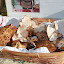 lincolnton market april 201116.jpg