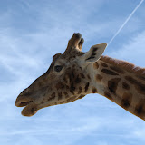 Knies Kinderzoo