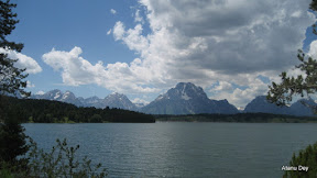 IMG_4215.jpg