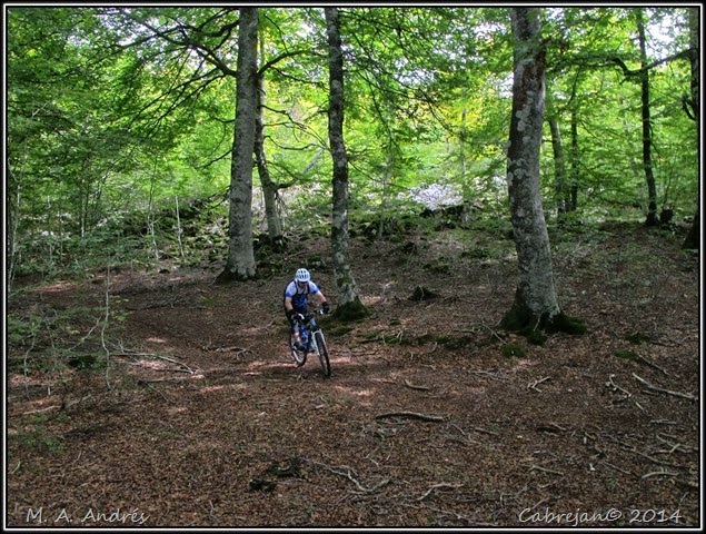 btt urbasa 105 btt urbasa 105