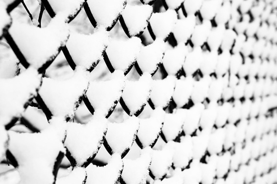 [BWSnow32.jpg]
