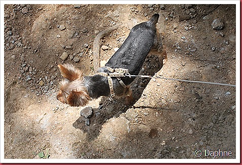 IMG_3883 IMG_3883