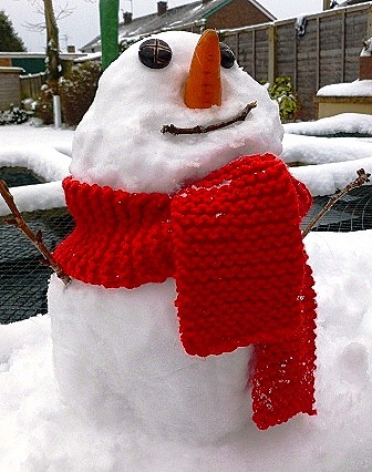 [snowman%2520Jan%25202013.%255B8%255D.jpg]