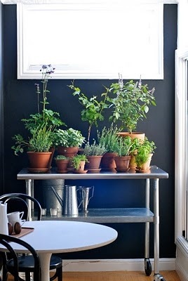 indoor_herb_garden
