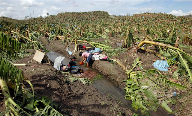 Villagers wash their clothes amidst a destroyed banana plantation after Typhoon Bopha hit Compostela Valley, southern Philippines, 5 December 2012. Erik De Castro / Reuters