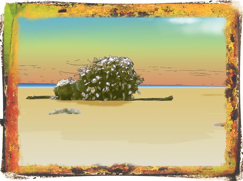 [botanareiaapraia%2520%2528Medium%2529%255B6%255D.jpg]