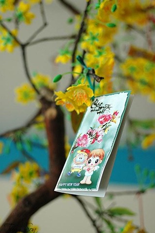 [chinh%25402011121510282209_0%255B3%255D.jpg]