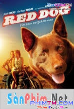 Chú Chó Trung Thành - Red Dog