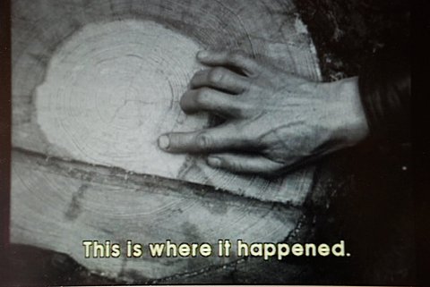 tumblr_l42hqkdDiD1qznoe2o1_500.jpg