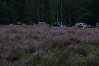 IMG_5532.JPG