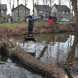 28-01-2012 Rooien omgewaaide boom