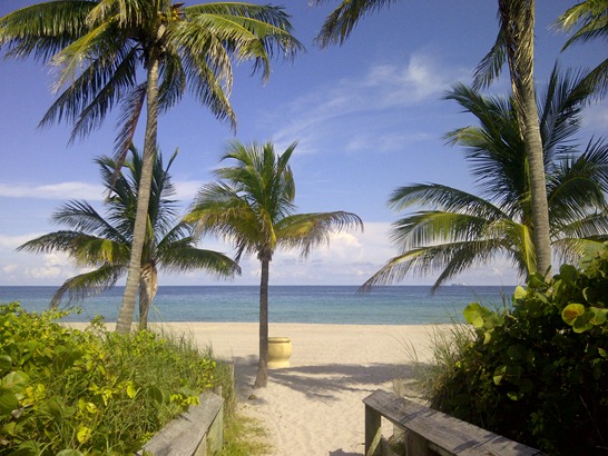 [IMG-20110923-00598%255B3%255D.jpg]