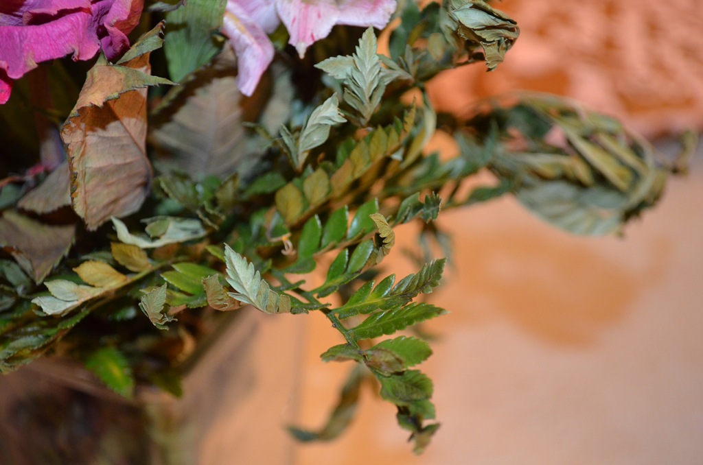 [DSC_0039%255B24%255D.jpg]