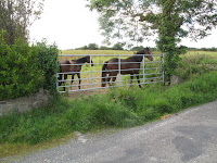 IMG_0494.JPG Photo