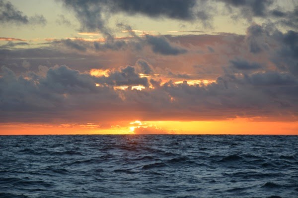 DSC_3634.JPG DSC 3634