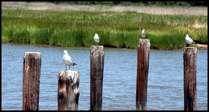 IMG_2443 IMG_2443