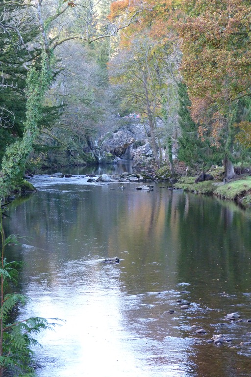 [estuary%2520044%255B5%255D.jpg]