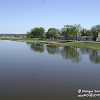 rz. Odra dsc06353.jpg