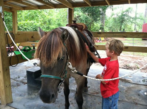 Aidan+Horsin+Around+Equine+Therapy+Prince