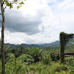 IMG_0255.JPG