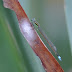 P1180088