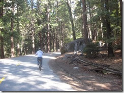 biking yosemite