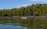 P1070001.JPG