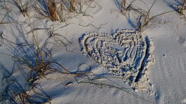 Gulf Islands Heart1 Gulf Islands Heart1